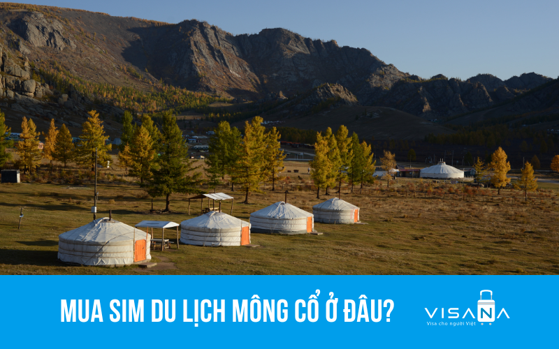 Mua sim vv888 Mông Cổ ở đâu?