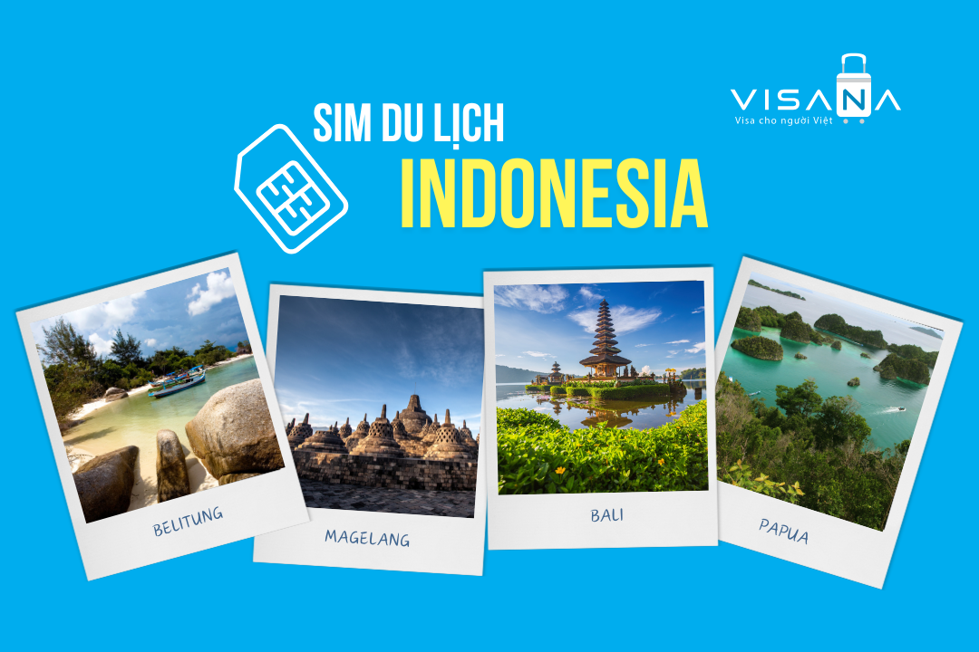 Chi tiết về sim vv888 Indonesia