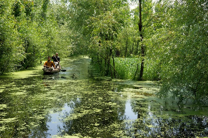 du-lịch-ấn-độ-Dal-Lake-Srinagar-Kashmir-India