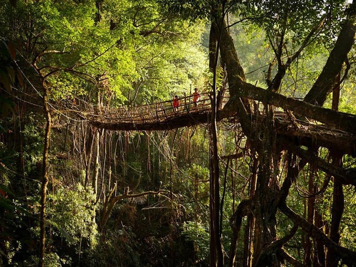 du-lịch-ấn-độ-meghalaya-the-wettest-place-on-earth-711