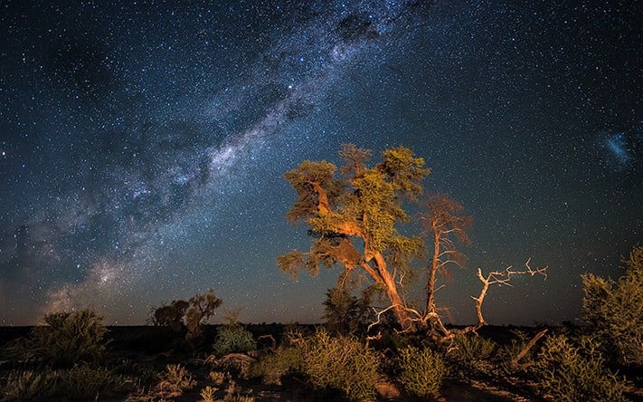 du-lịch-nam-phi-Kalahari-Night