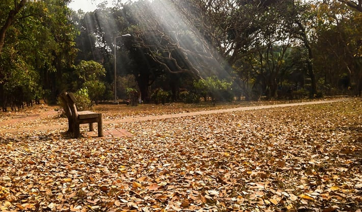 du-lịch-bangladesh-Ramna-park-711