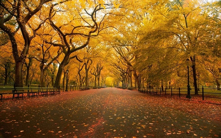 du-lịch-thổ-nhĩ-kỳ-istanbul-autumn-itinerary-711
