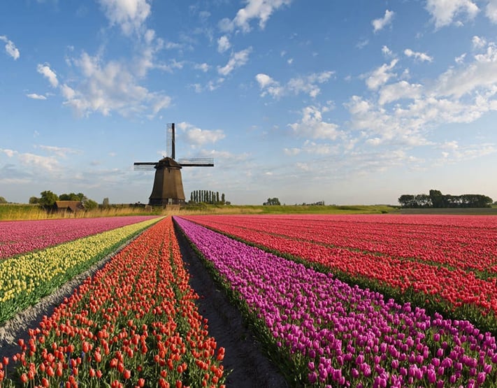 kinh-nghiệm-du-lịch-hà-lan-netherlands-spring-711