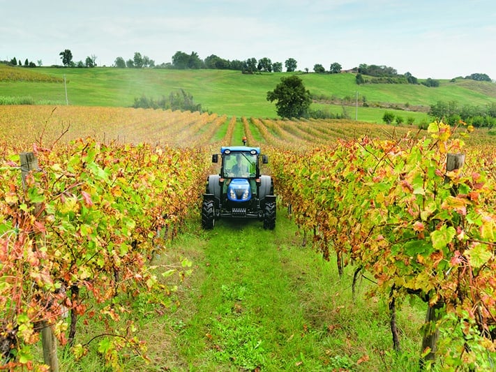 du-lịch-hà-lan-holland-agriculture-711