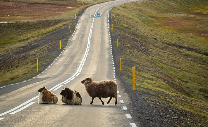 Du lich Iceland 