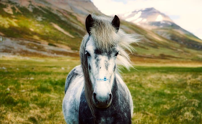 Du lich Iceland 