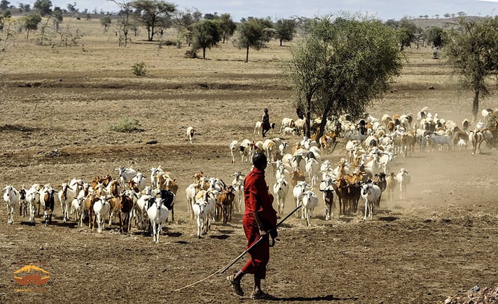 Du-lich-kenya-massai