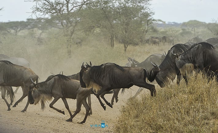 Du-lich-tanzania