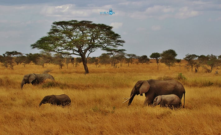visa-tanzania