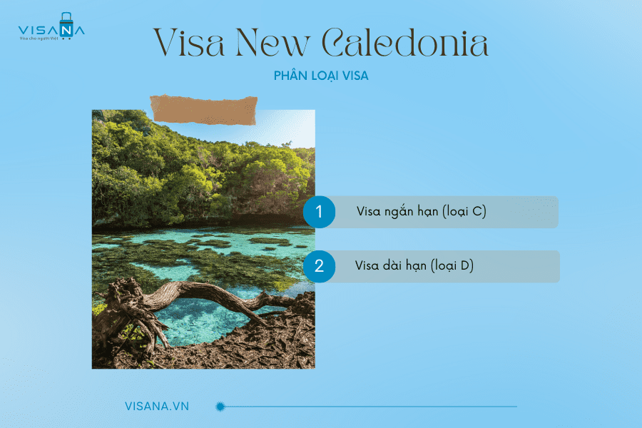 Phân loại vv88win New Caledonia vv88winna