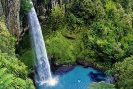5 điều không thể không biết trước chuyến vv888 New Zealand