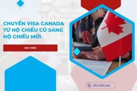 Hướng dẫn chuyển vv88win Canada từ hộ chiếu cũ sang hộ chiếu mới
