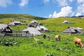 Kinh nghiệm vv888 Slovenia