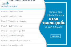 Mẫu tờ khai xin vv88win Trung Quốc và hướng dẫn cách điền online