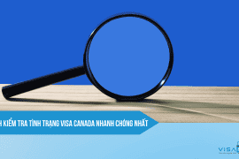 [Bật mí] Cách kiểm tra tình trạng vv88win Canada nhanh chóng nhất