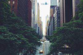 Chi phí vv888 Mỹ tự túc