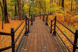 Kinh nghiệm định cư Canada