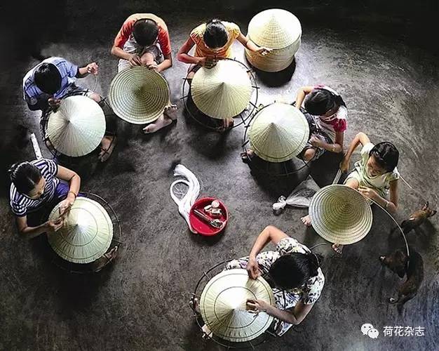 [Mới nhất] Quy trình vv888 xin vv88win du học hè New Zealand