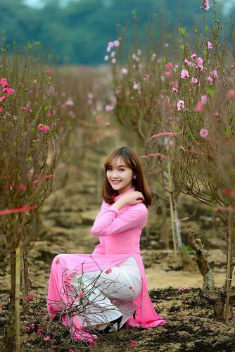 Trọn bộ hồ sơ, vv888 xin vv88win kết hôn Hàn Quốc (F-6-1)